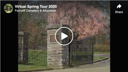 virtual spring tour at ferncliff