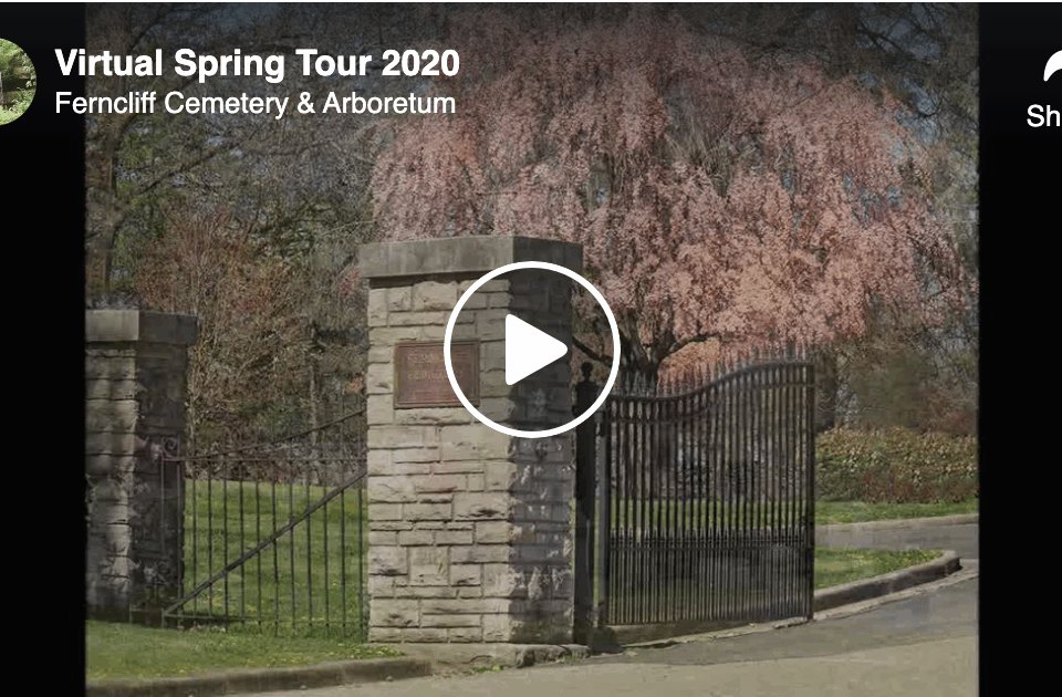 virtual spring tour at ferncliff