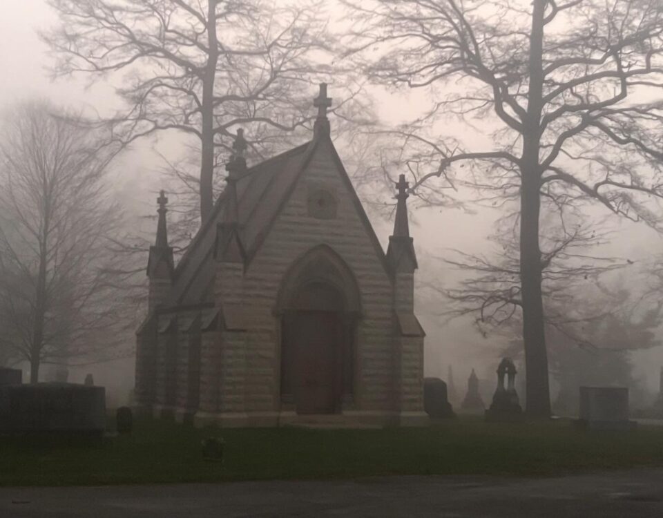 A foggy morning at Ferncliff Cemetery and Arboretum.